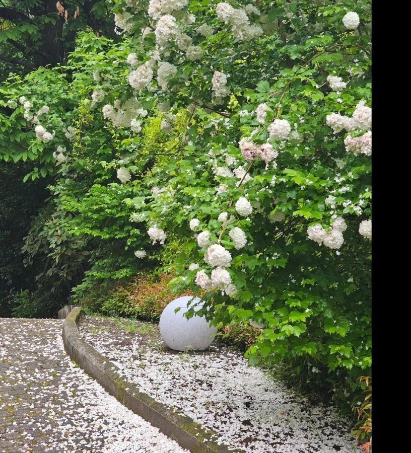 L'Ortensia Della Villa Isabella, Camera Con Vista Lago, Balcone Sul Parco E Bagno Esclusivo All'Esterno Della Camera Stresa Exterior foto
